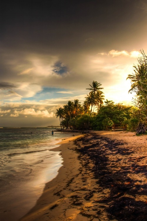 trilithbaby:  makxveli:  Caribbean Sunset on Guadeloupe by: [ Hans Gurk ]   Places I’d rather be  escape….please….