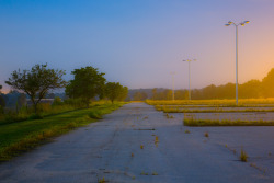 Ianference:  The Edge Of The Overgrown Abandoned Parking Lot Near A Half-Shut-Down