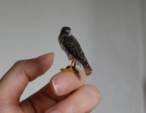 a-mini-a-day:Exquisite mini animal sculptures by Anya Stone.But HOW, though, just HOW. 