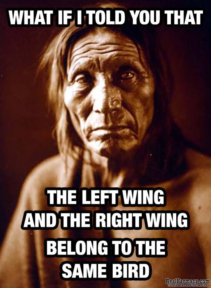 Question Everything
