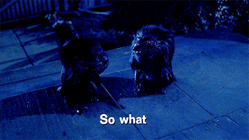 classichorrorblog: CrittersDirected by Stephen Herek (1986)