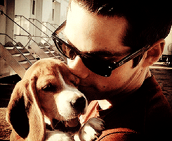 thisuserdoesntexistanymore20 - Dylan O'Brien + puppies