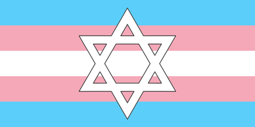 classicdaisycalico:  lapidang:  laughlikesomethingbroken: For all your Jewish-Pride needs. Reblog to