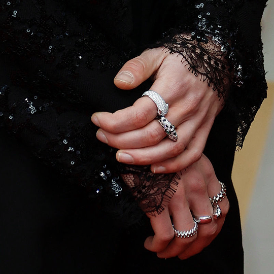 timothee chalamet rings