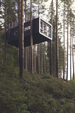 livingpursuit:  TreeHotel: The Cabin