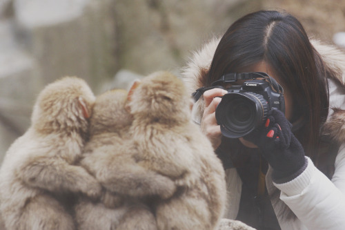 Snow Monkey and a Lady Photographerby ChinPing Goh