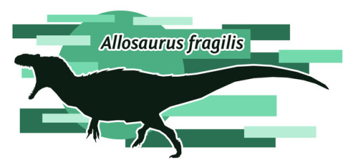 Today it’s Minimalist Dinosaurs: Theropod Edition (plus one primitive sauropodomorph)I love making t