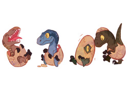 missmuggle:  Baby raptor squadyou can buy