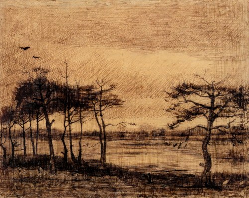litverve:

Vincent van Gogh, Pine Trees in the Fen, 1884 