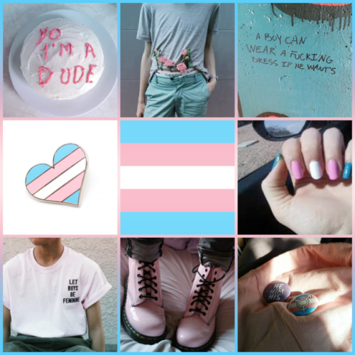 queerlobby:Feminine trans guy aesthetic for @rozzsylvian1334!