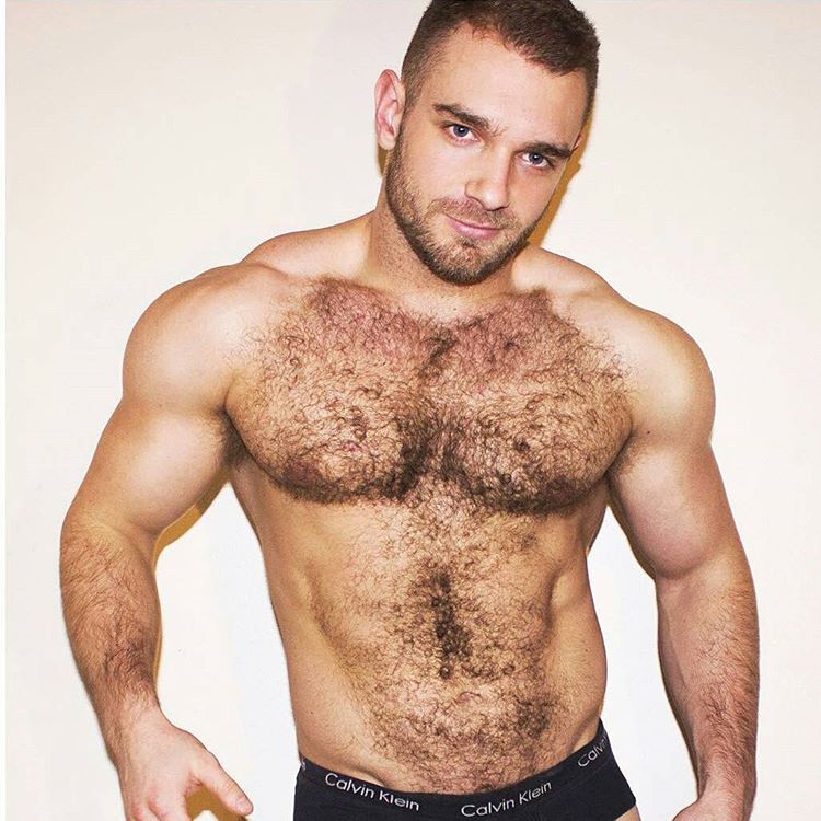 MUSCLE CORPS