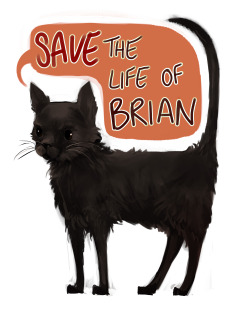 furonfire:  dreamsoffools:  This is Brian! He’s only a baby and used to be a stray until he found a new home at the stables, and he’s honestly the friendliest little cat I’ve ever met. He doesn’t meow, he peeps at you like a baby bird, and he