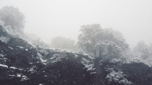 skeletales:Tyler Forest-Hauser
