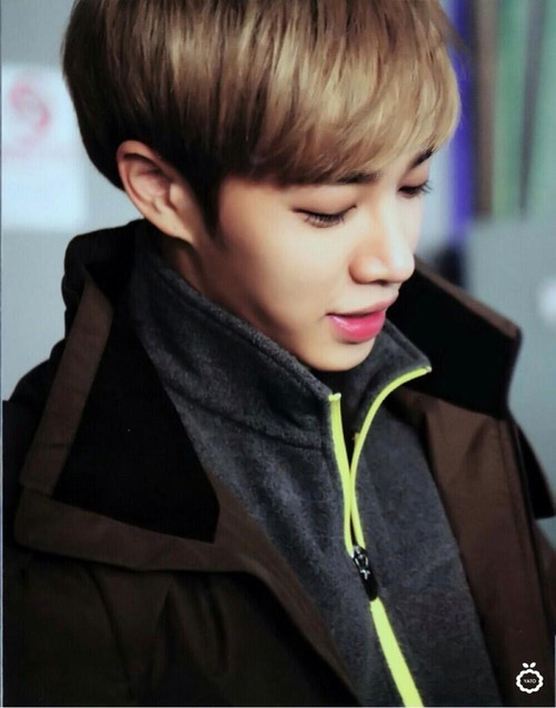 dolldoris:  Beast on We Heart It.