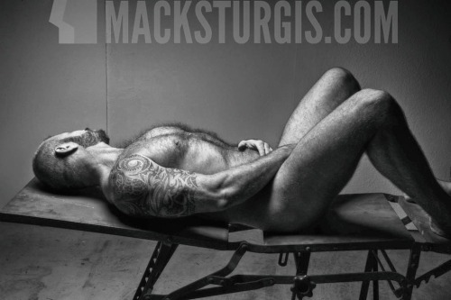 warriorsofmightandmagic:  From macksturgis.com