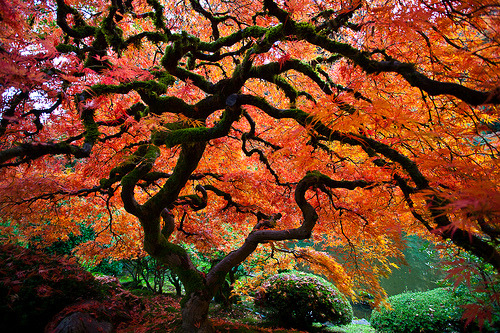 1512px:  © | George (Do not remove credits)
