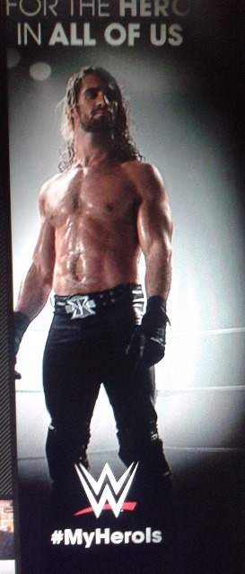 crazyaboutsethrollins:  From wwe.com main page side splash. Definitely MY HERO and
