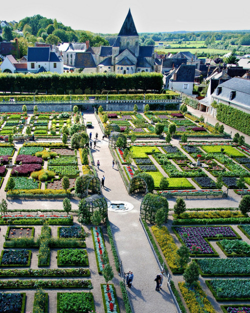 The gardens of Château de Villandry in Indre-et-Loire, France (by George Reader).