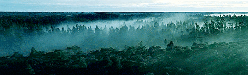 swayer-of-dale:MIDDLE-EARTH + Scenery [PartXIII]THE HOBBIT/THE LORD OF THE RINGSRandom Gif Edit- 59/