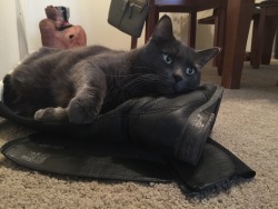 salty-strudel:  fantasticcatadventures:Boots