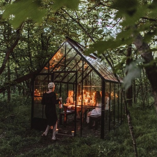 johnnaholmgren: Dreaming of summer dinner parties in the woods. Cedar infused trout, foraged clover 