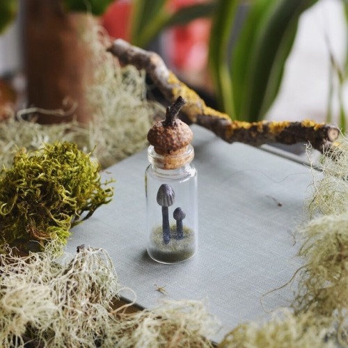 frugalmori: glittertomb: pocketmoss has me crying I need 1,000,000,000 of these.