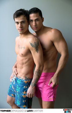 betosbackalley:    Topher Dimaggio Fucks Levi Karter   Cockyboys membership only ฝ.95.  Please use the banner at the top of my page.  It helps me out a little bit. Thanks! Beto’s Cornerhttp://betosbackalley.tumblr.com 