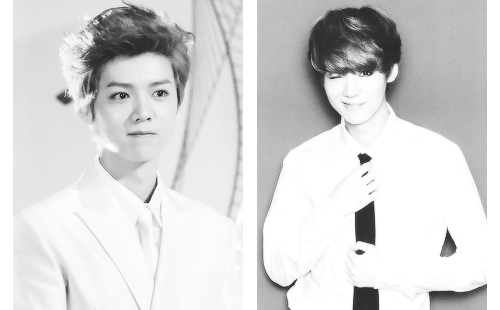 exoplushie-deactivated20141116:  Exo x suit  ↳ Luhan 