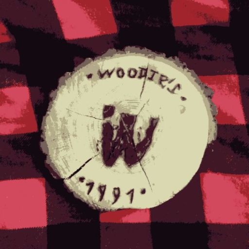 woodiesadventures: