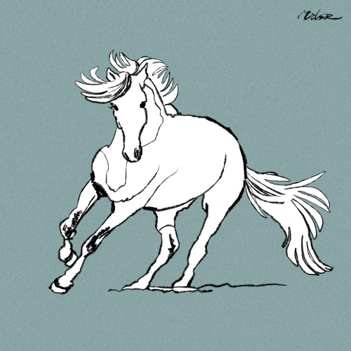 horse croquis