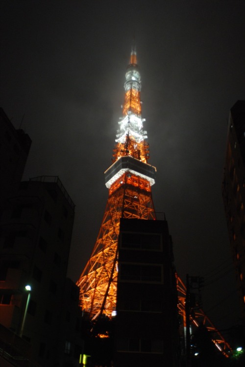 Tokyo fog night 03d.JPG 東京タワー Tokyo tower, shibakoen, Minato-ku,Tokyo,Japan23.AUG.2008Nikon D40xBy :