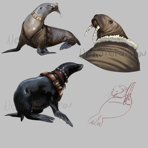 nekonotaishou:have some pinnipeds with stuff, including a knife! Look at these!