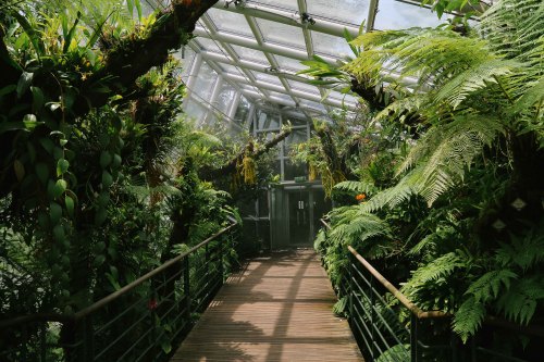 Porn ianception: The Coolhouse at Singapore Botanic photos