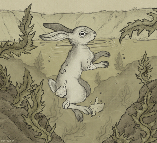 Some Rabbits Say El-ahrairah Controls The Weather, Because The Wind, The Damp And The Dew Are Friends