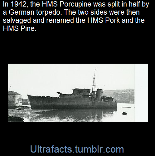 HMS Porcupine was a P-class destroyer built by Vickers Armstrong on the River Tyne. She was torpedoed in 1942 but salvaged and not finally broken up until 1947.
Once the two pieces were back in Portsmouth, the fore part of the ship was know as HMS...