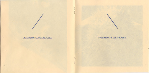 rgf-editionthinking: Anthony Cudahy, Permanent Smile, risograph zine, 2013. 