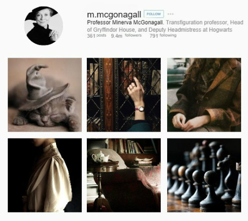 adeoetregina:INSTAGRAM AU>> the Harry Potter Series >> the Order of the Phoenix (selecti