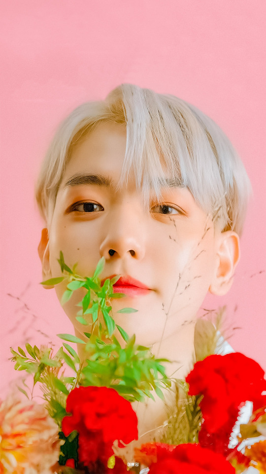 WALLPAPER SIMPLE - BAEKHYUN