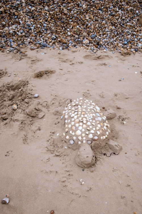 Beachcomber - weekly round up of my daily walks along the beach and findsX100Now the holiday season 