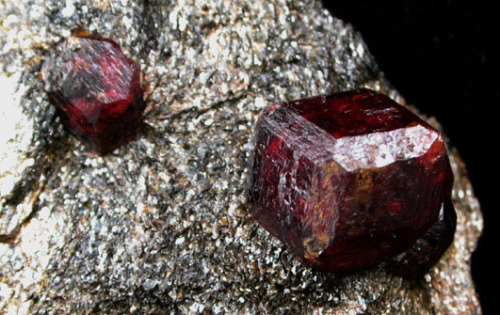 fuckyeahmineralogy:  Almandine, a type of garnet, in various stages of preparation.  Fully embedded in the matrix, as it would most commonly be found, and also jutting out of the matrix (I’m actually not sure if you find them like this, or if this