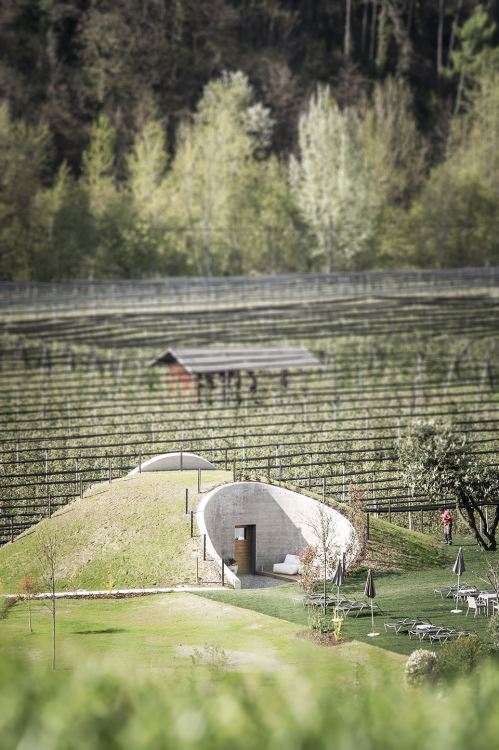 architags:  noa* (network of architecture). Applesauna. Saltaus. Italy. photos: noa*  