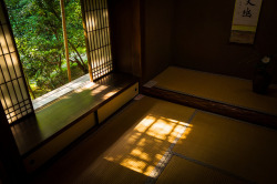 doya-gao:  silent summer #2 (Koto-in temple,