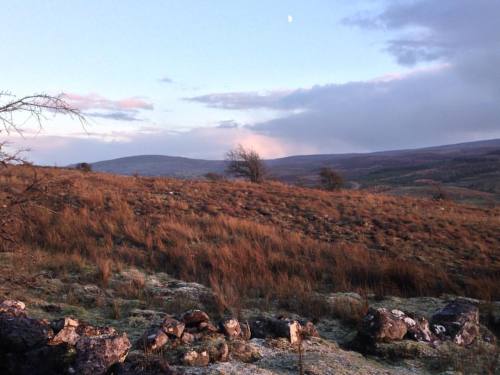 Beautiful view at the burren today. It was frosty but breathtaking #ireland #eire #soulhome #nature 