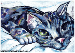 torpedoesarts:  Bruce. More cat paintings