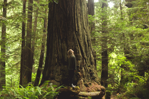 jonahreenders:   The Wandering Project  is now for sale!  All photographs by: Jonah Reenders 