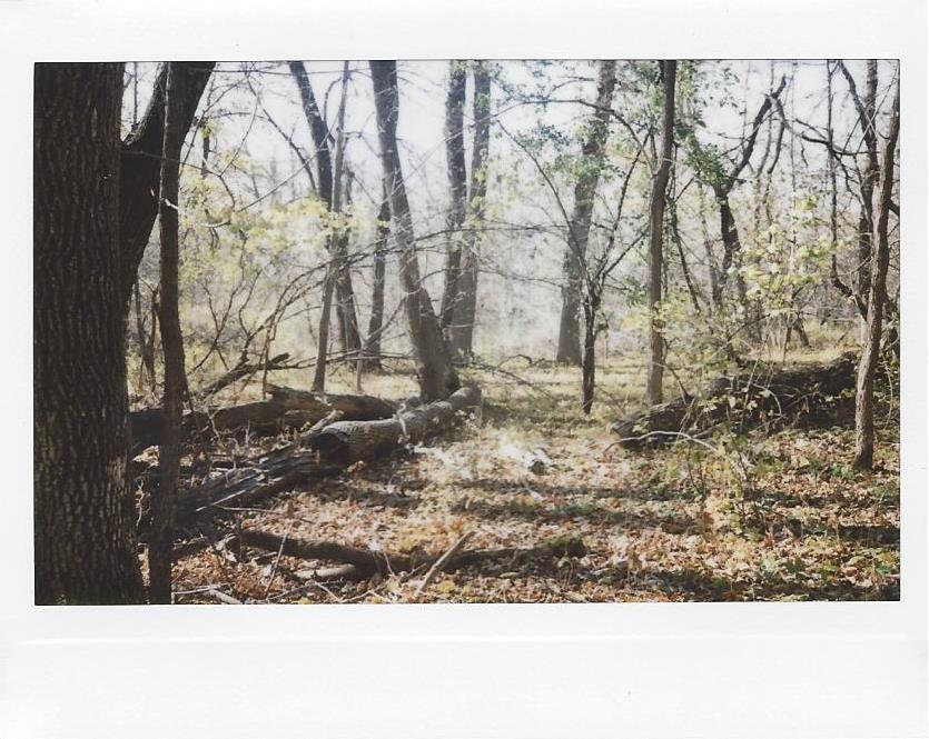 melanieonfilm:  Turtle River State Park in Autumn Fujifilm Instax 210