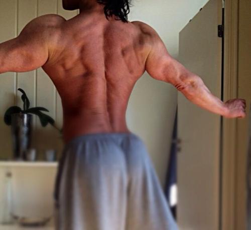 Muscle and Stuff
