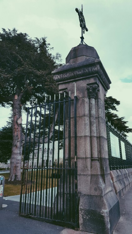 fernandamorete:Glasnevin Cemetery Quando vou à pé para o trabalho, passo em frente à este cemitério 