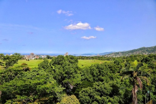 lmkina: • Views of The Queen’s Park Savannah • Commonly called, The Savannah, it is the largest open