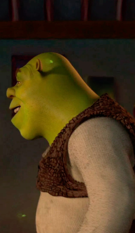 dayanafrias01:  Shrek & FionaShrek 2 (2004) | Movie 